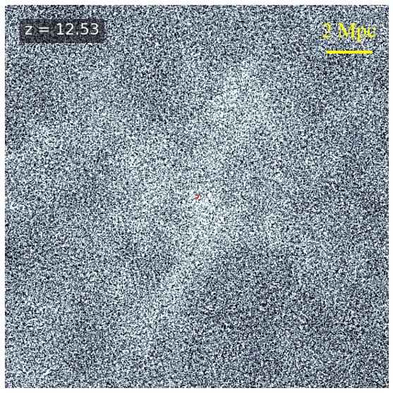 Evolution of a cluster and five sample galaxies through cosmic time